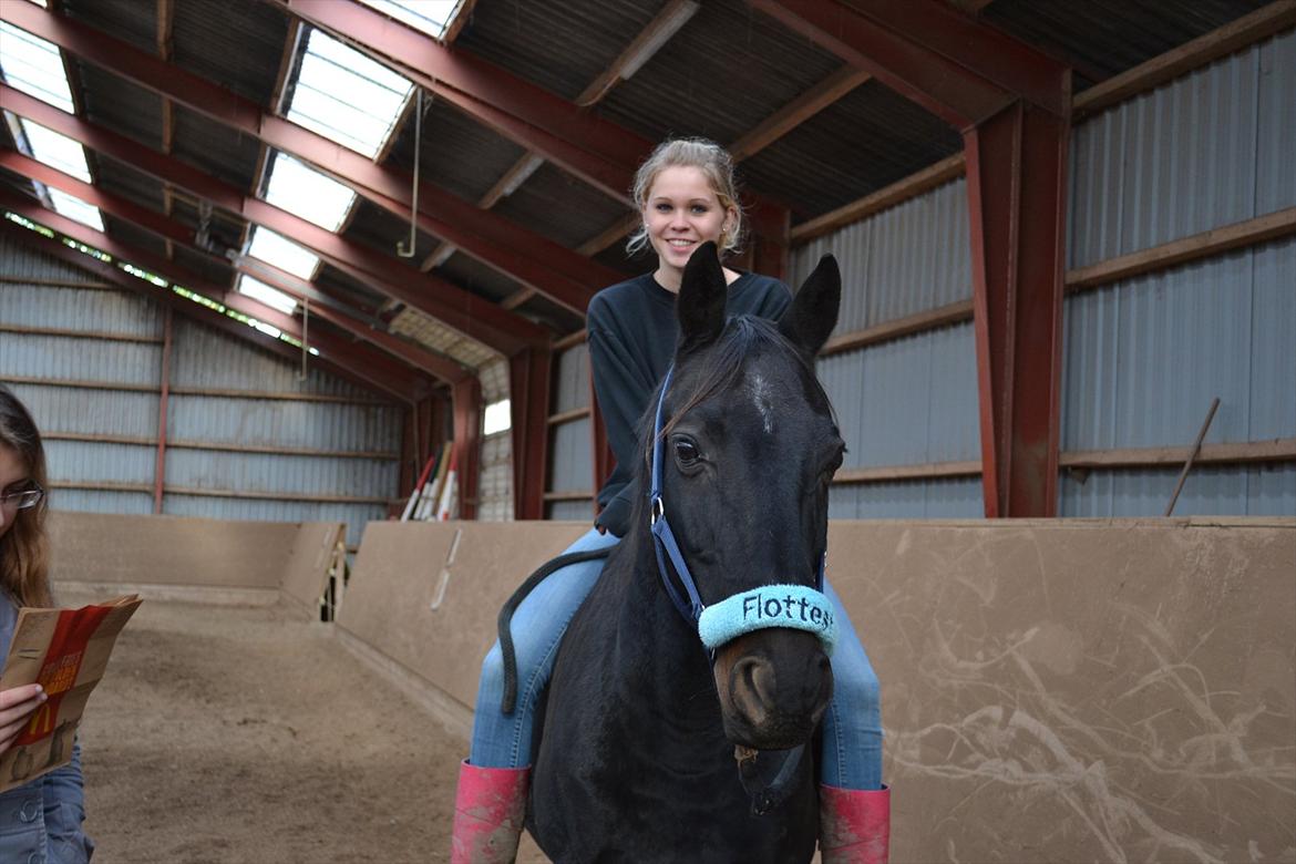 Anden særlig race Kasmir  - It's amazing how you can speak right to my heart.
Without saying a word you can light up the dark.<3


efterår 2011 foto: Lisa billede 9