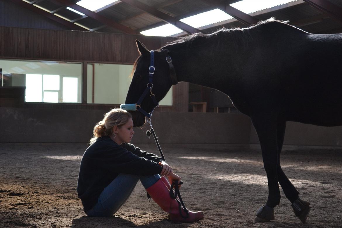 Anden særlig race Kasmir  -  Det gør ondt at blive forbrændt, men jeg vil gå gennem ild for dig.
det gør ondt at blive skåret, men jeg vil skærer mig selv til blods bare for at skrive JEG ELSKER DIG. Det gør ondt at få tæsk, men jeg vil tage imod alle slag, for at hjælpe dig, for i billede 20