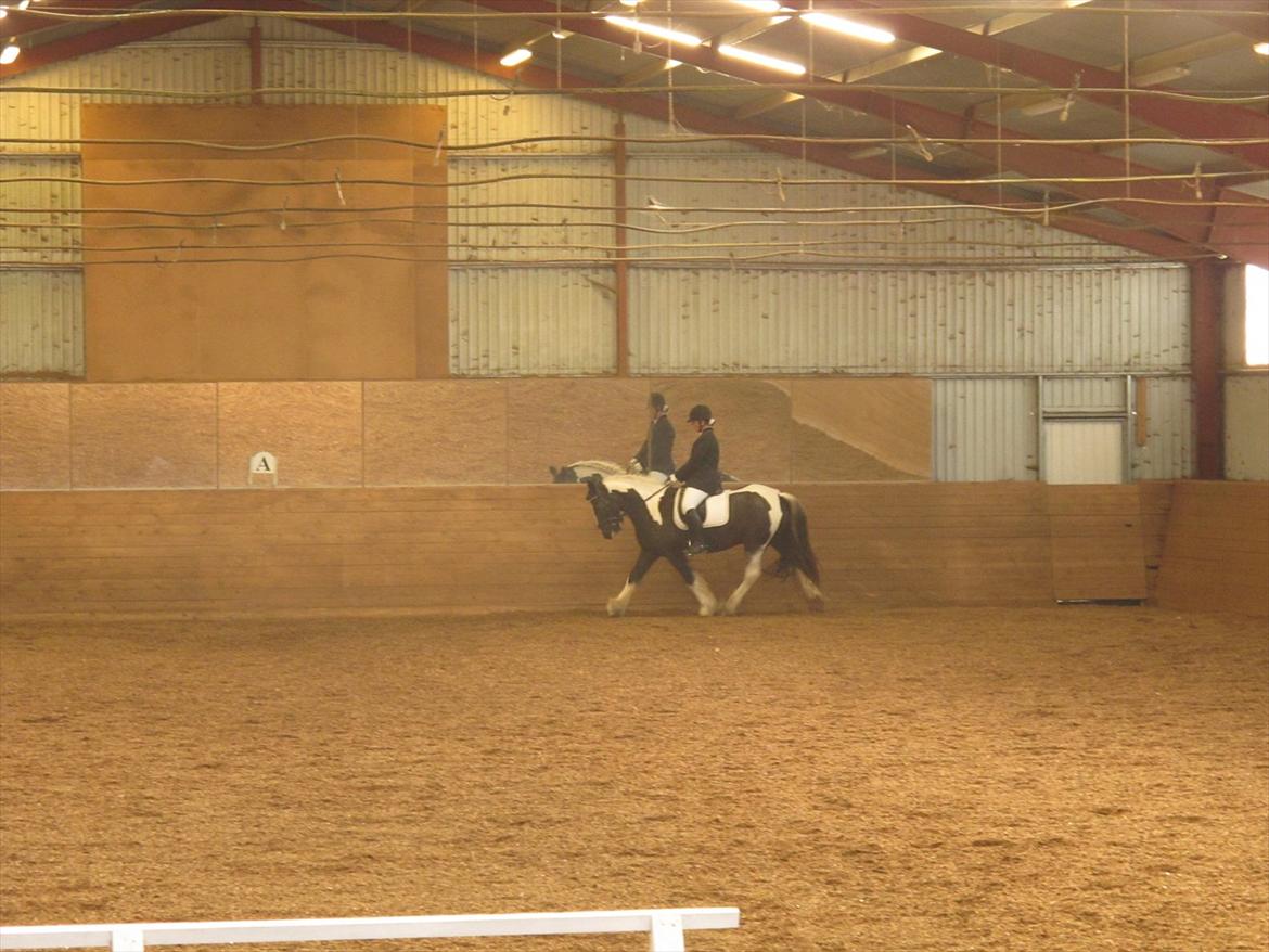 Irish Cob Mischa - Stævne i Darup rideklub billede 17