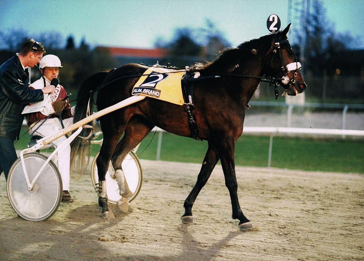 Traver Bella Donna billede 12