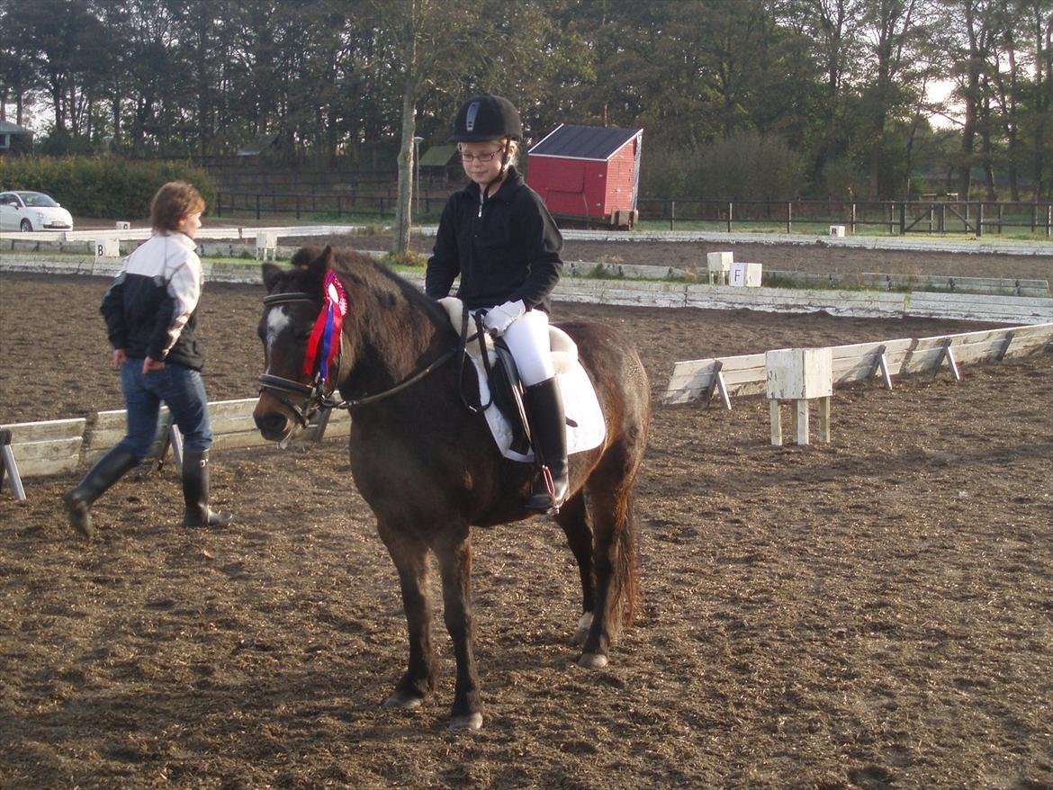 Dartmoor Amalie Ronda (Chili) - Deres første rigtige stævne sammen ld1, Stine glemte programmet, men Chili gik perfekt..:-) billede 1