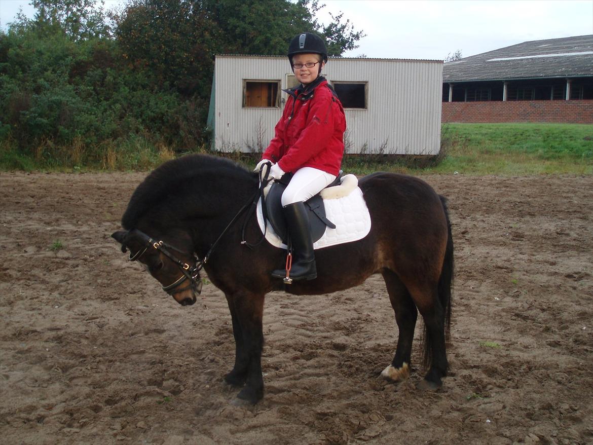 Dartmoor Amalie Ronda (Chili) billede 3