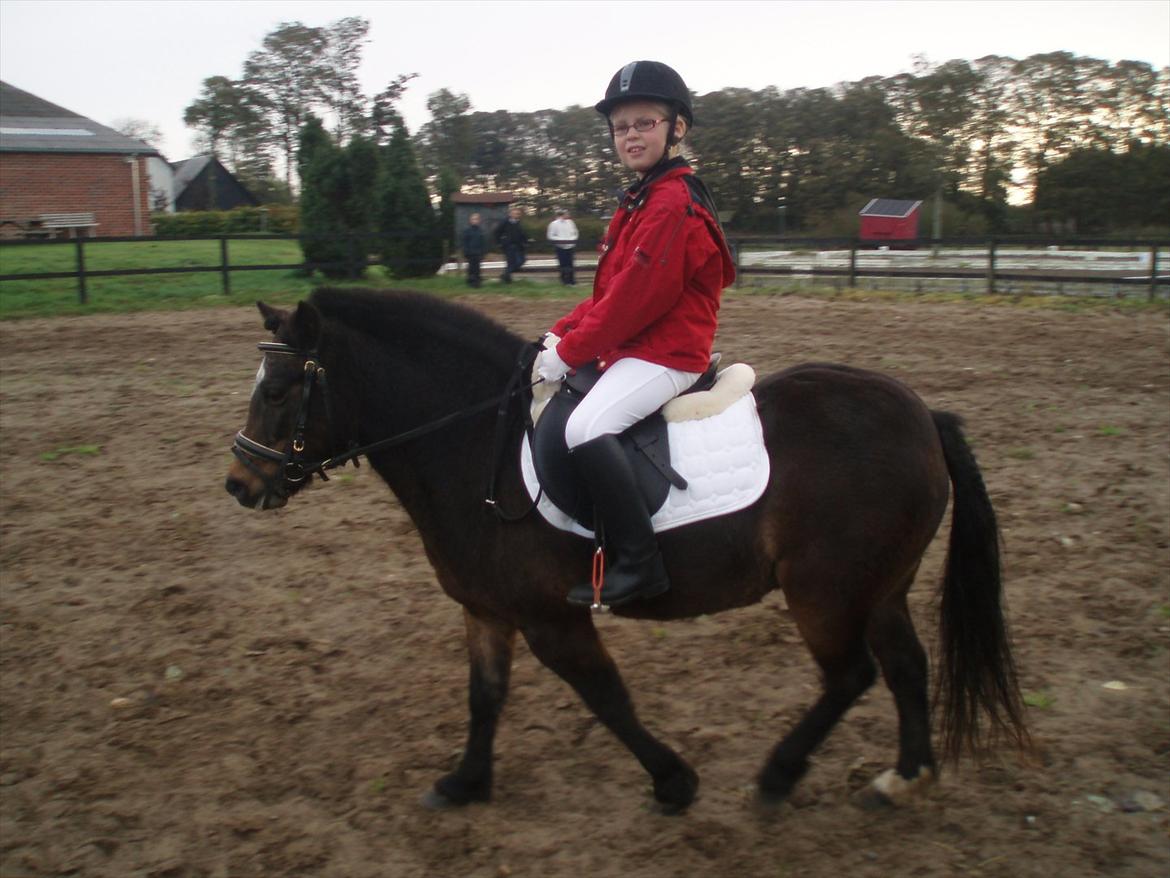 Dartmoor Amalie Ronda (Chili) billede 4