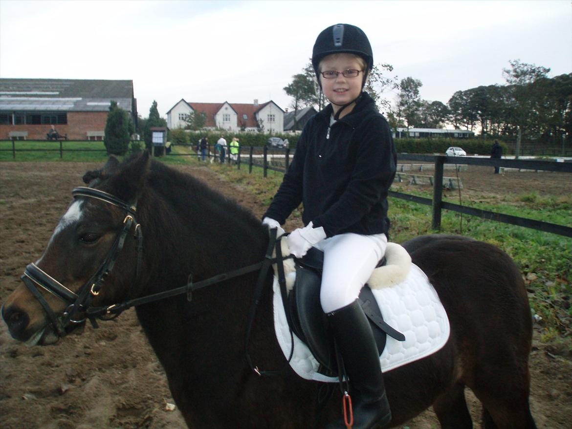 Dartmoor Amalie Ronda (Chili) billede 5