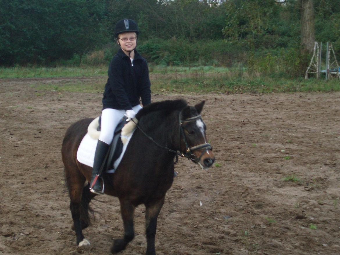 Dartmoor Amalie Ronda (Chili) billede 6