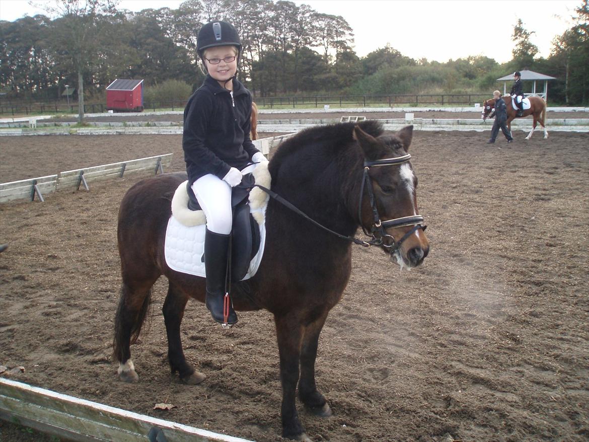 Dartmoor Amalie Ronda (Chili) billede 7