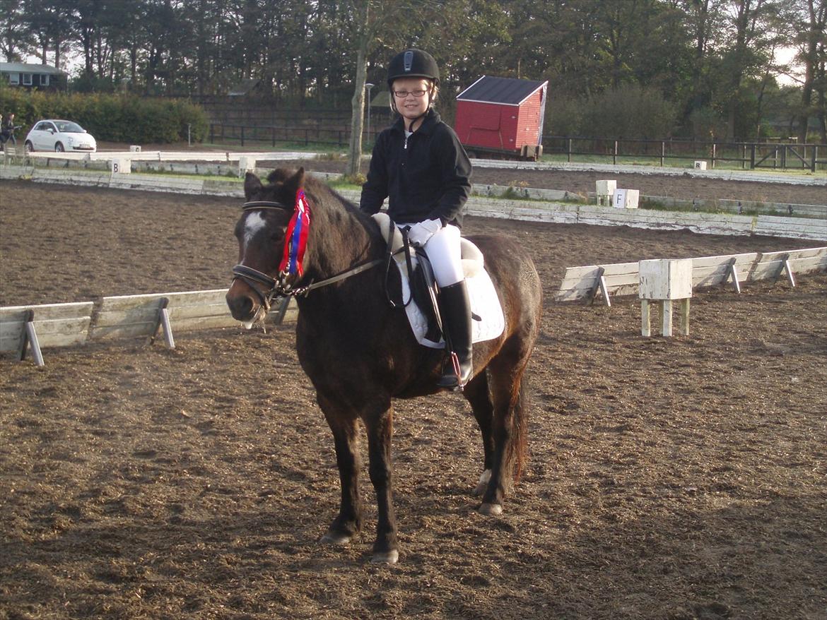 Dartmoor Amalie Ronda (Chili) billede 9