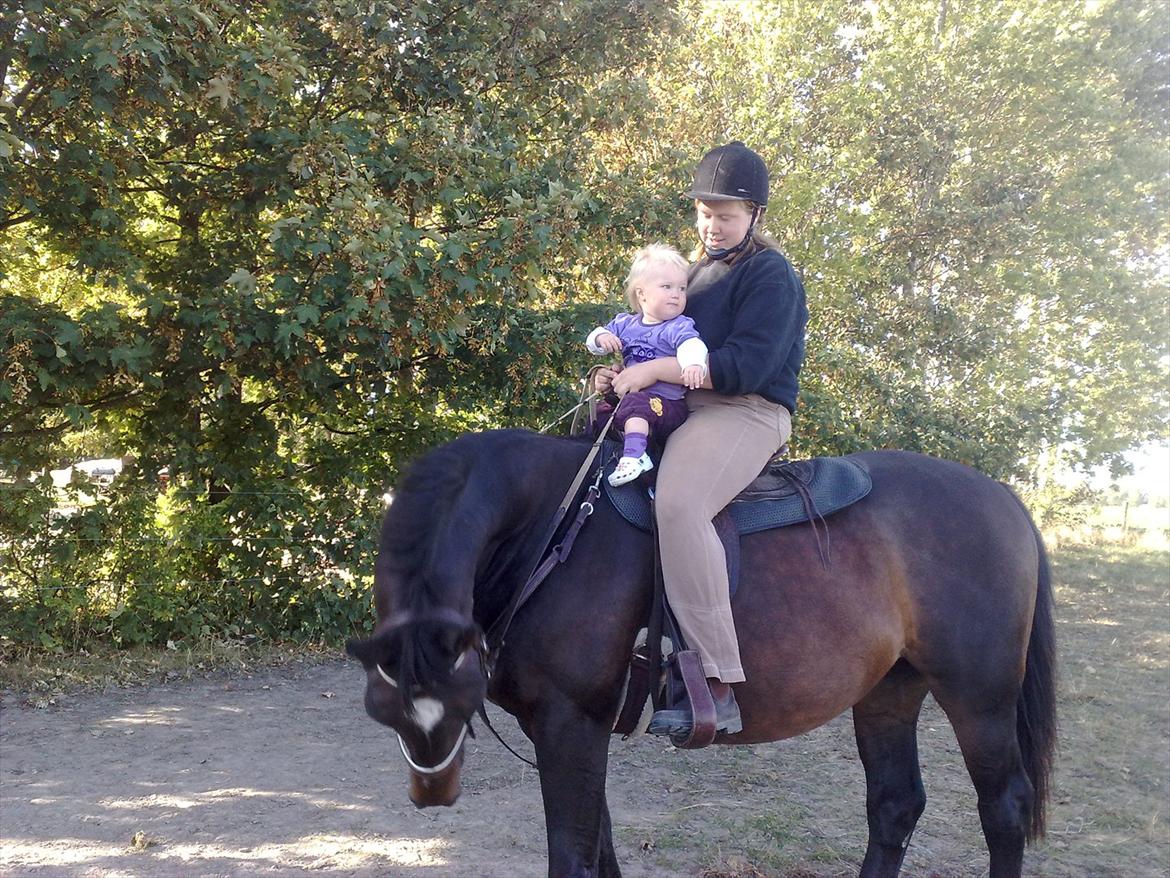 Dansk Varmblod Kartago Vogt - billedet er 2år gammel, mig og min datter sider på ham.. billede 13