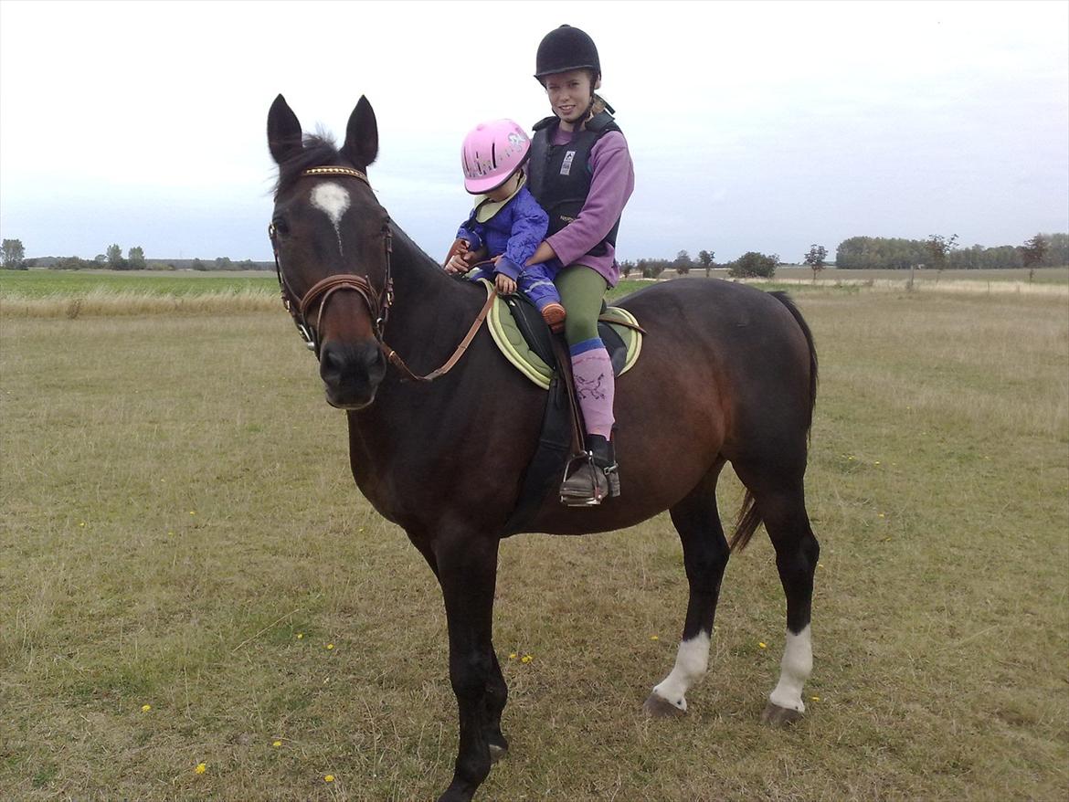 Dansk Varmblod Kartago Vogt - billedet er 2år gammel, min lillesøster og min datter sider på ham.. billede 14