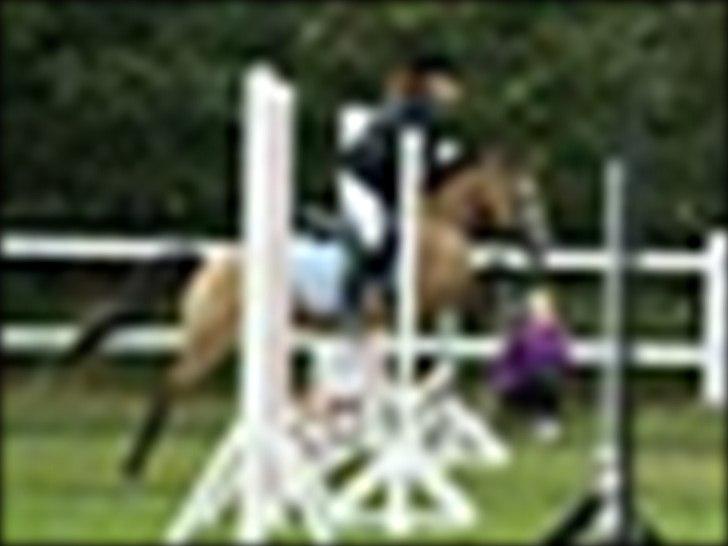 Anden særlig race Damgårds Maggie billede 15