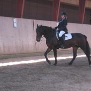 Anden særlig race Cassiopaia