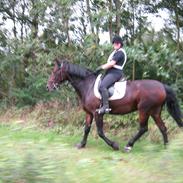 Anden særlig race Cassiopaia