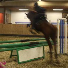 Anden særlig race Lundgaards Chivas Regal