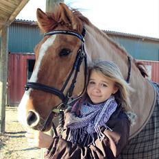 Anden særlig race Sir Thomas Ekipazas