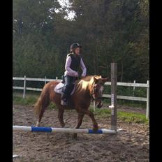 Anden særlig race Nanny.