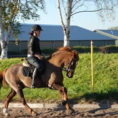 DSP Dalagergårds I-Do