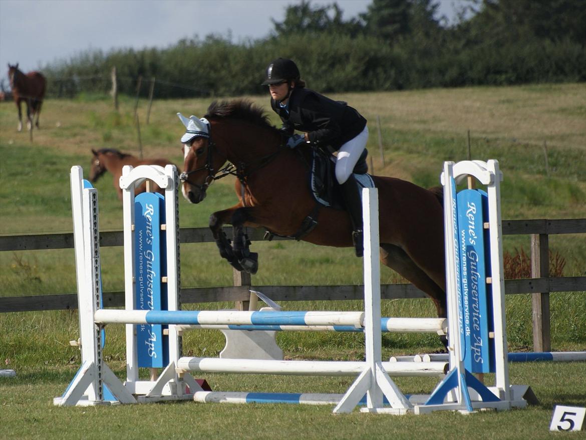Anden særlig race | Cantos Caballero - 18# Spring stævne på ØSR - LC, 3 plads! - Foto: Emilie Gleerup billede 18