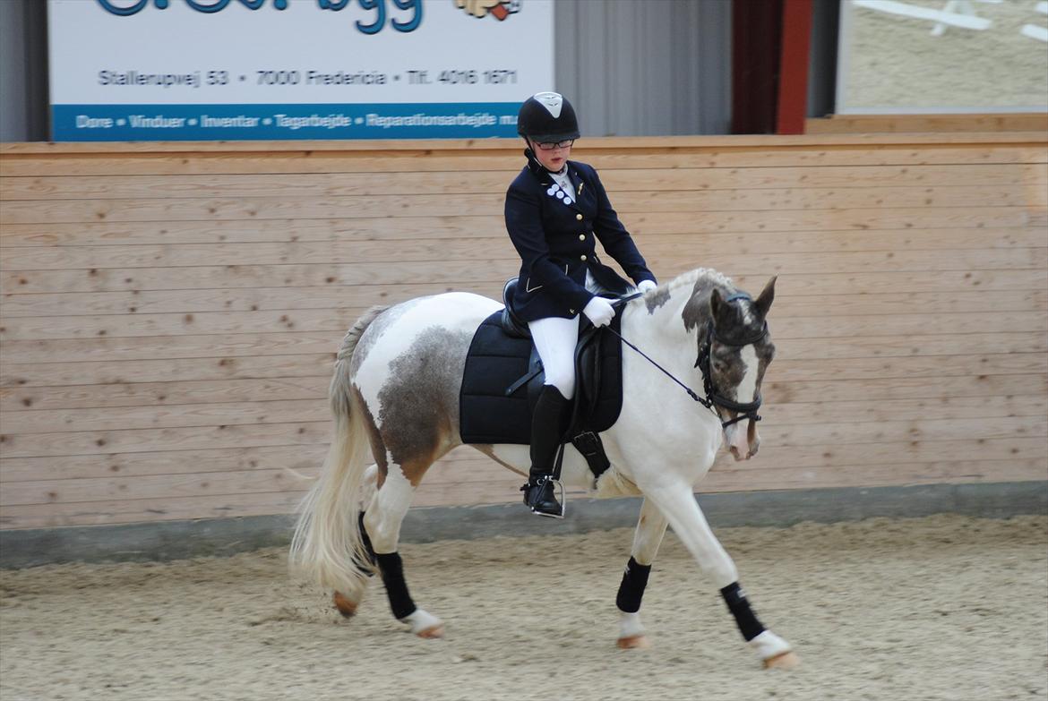 Anden særlig race Clemens Milky Way billede 10