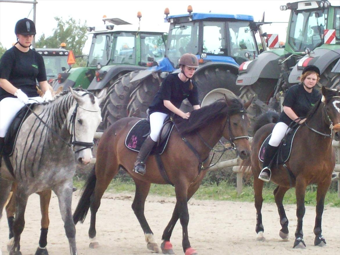 Traver Godiva pride<3 R.I.P ;( billede 15