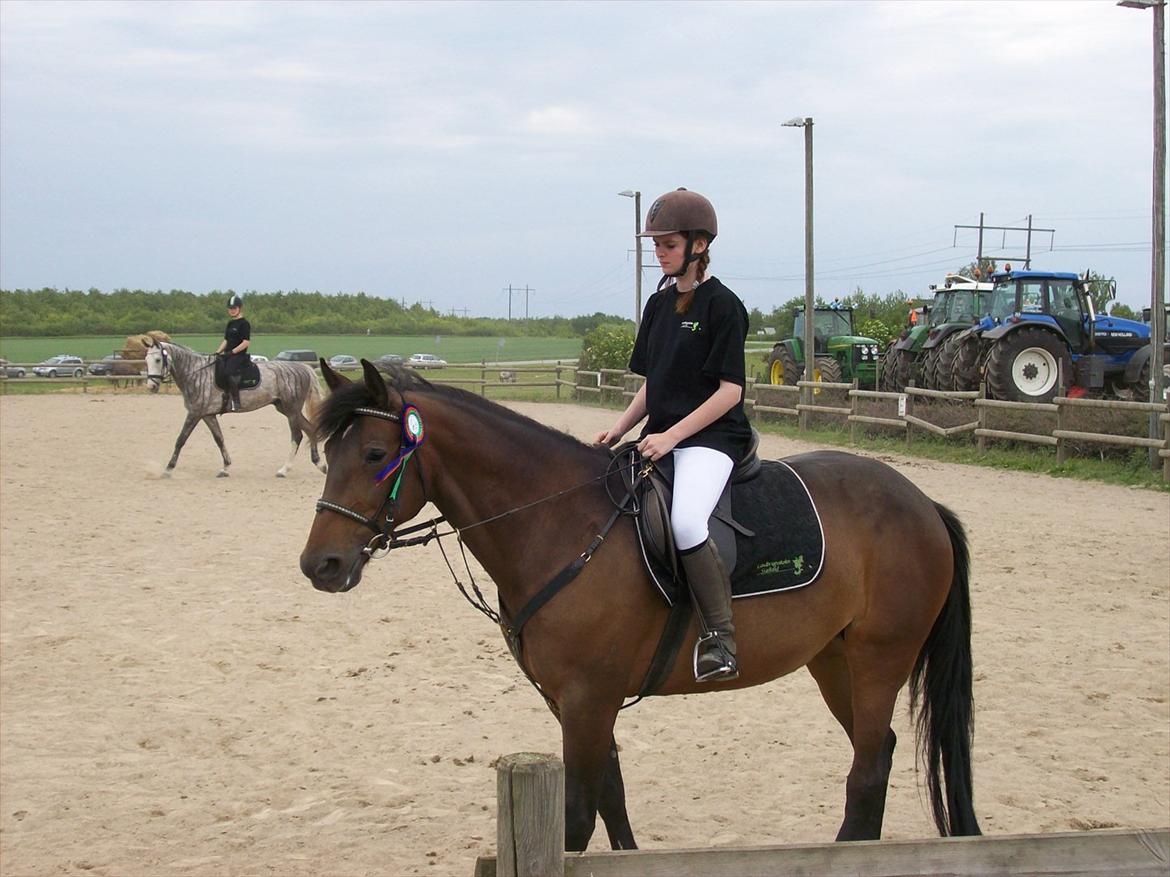 Traver Godiva pride<3 R.I.P ;( billede 16