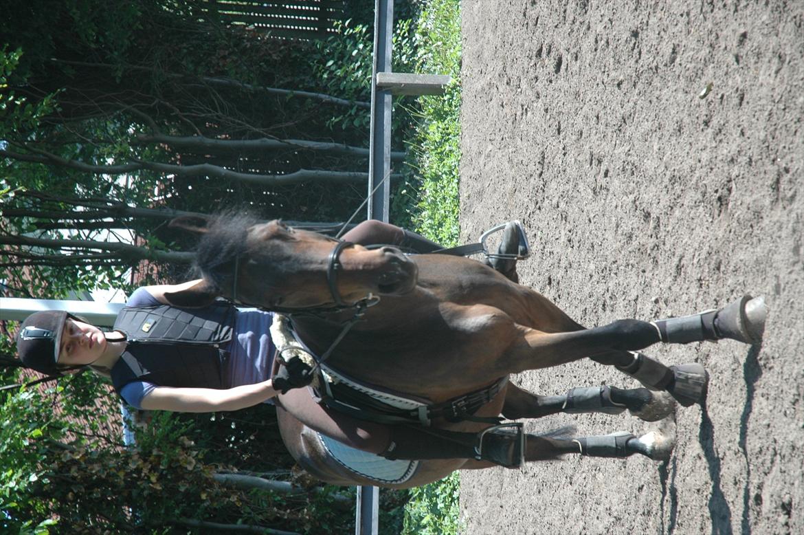 New Forest Nyskovens Antares - Haha opdagede lige Mor:-)
Foto: Mor billede 11