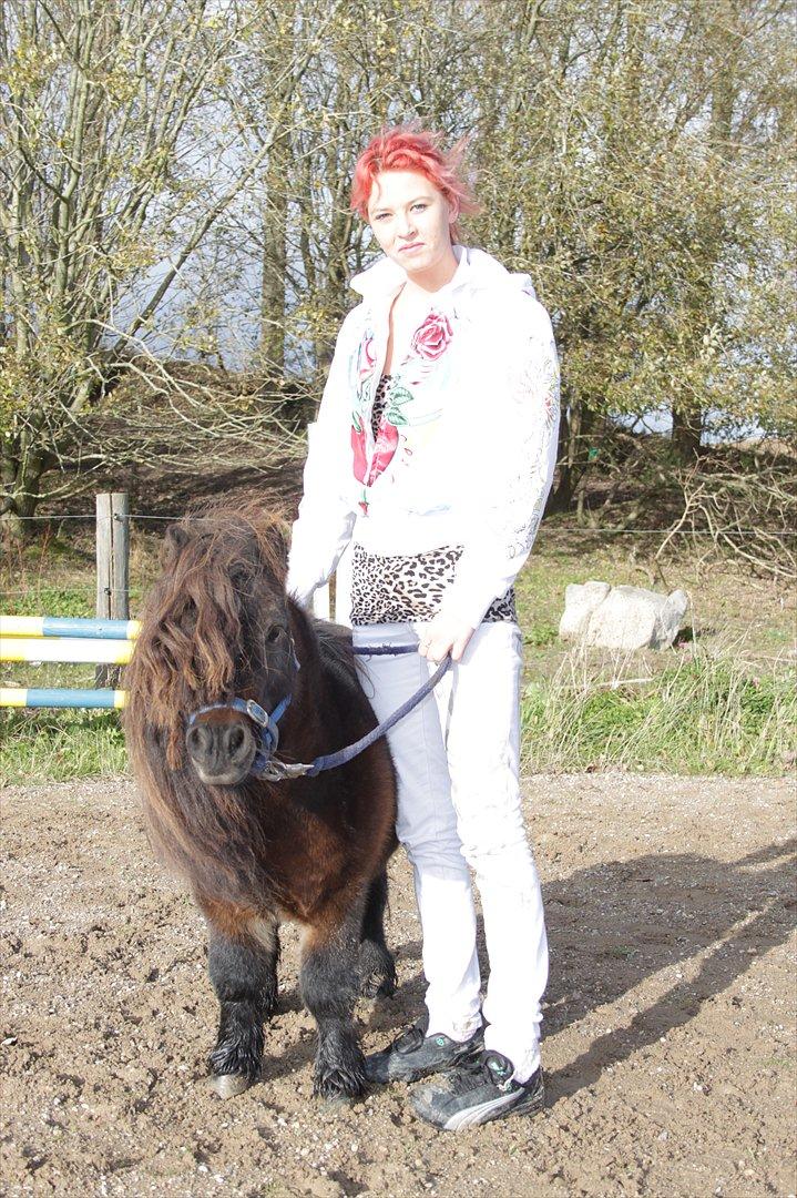 Falabella Don Ø Aksel billede 17