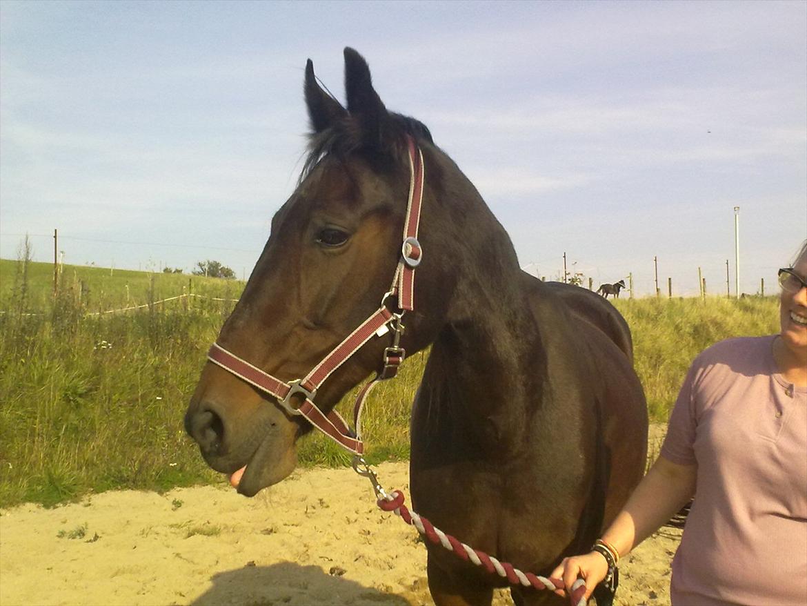 Traver Dresina billede 1