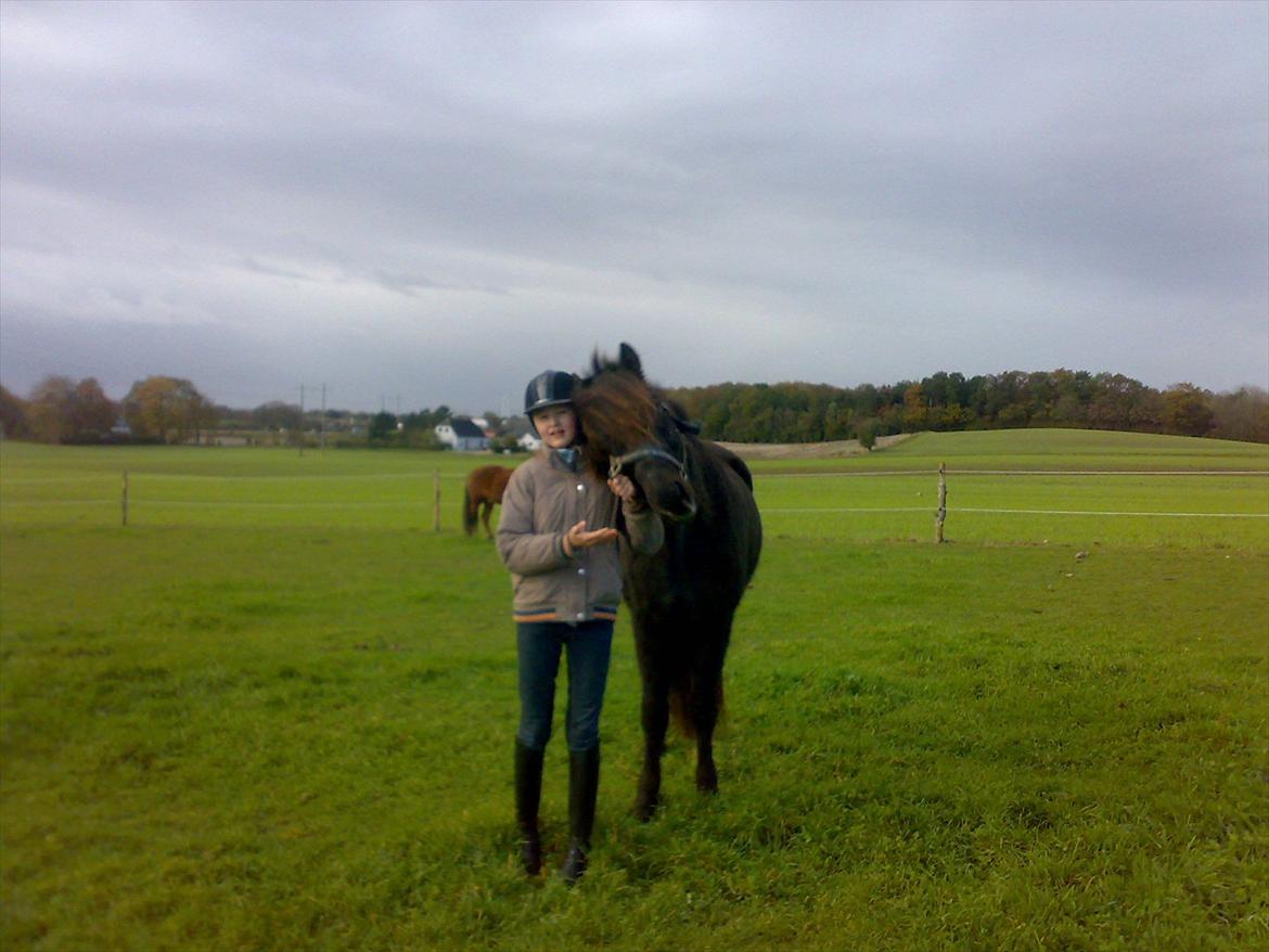 Islænder Nebbi vinkærgård billede 8