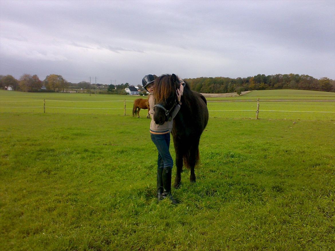 Islænder Nebbi vinkærgård billede 7