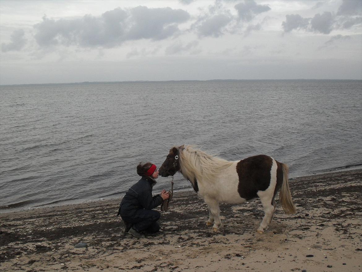 Anden særlig race Tøsen (Vænni) - Kys kys<3 billede 15
