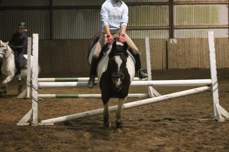 Anden særlig race Balder <3 billede 20