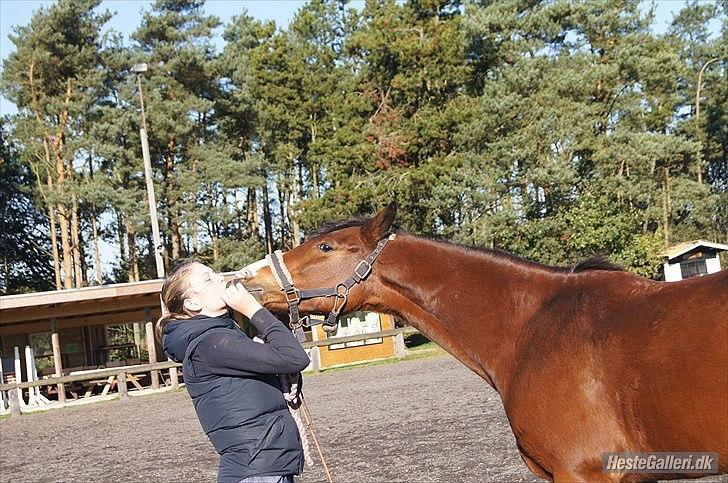 DSP - ELVITA <3 - "At elske dig vil sige at være den eneste, der kan se et vidunder, som er usynligt for alle andre"

Elvita - du er min hverdag! du grunden til jeg står op om morgen med et smil! du er grunden mine drømme går i opfyldelse! Elvita du betyder mere for mig en billede 17