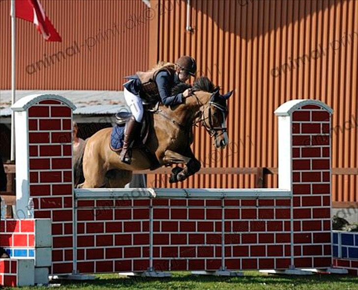 Anden særlig race Cappagh Unique - MB1* i Solrød - vores første MB nogensinde, og endda fejlfri :-)

(billedet er købt, og betalt) billede 7
