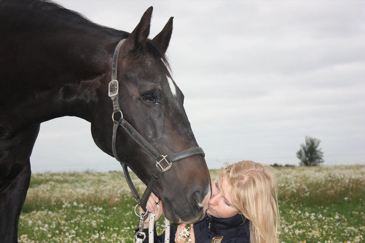 Oldenborg Emma (Dot) Hestbækgård - +*.I still cant belive that your mine.*+
<3 billede 11