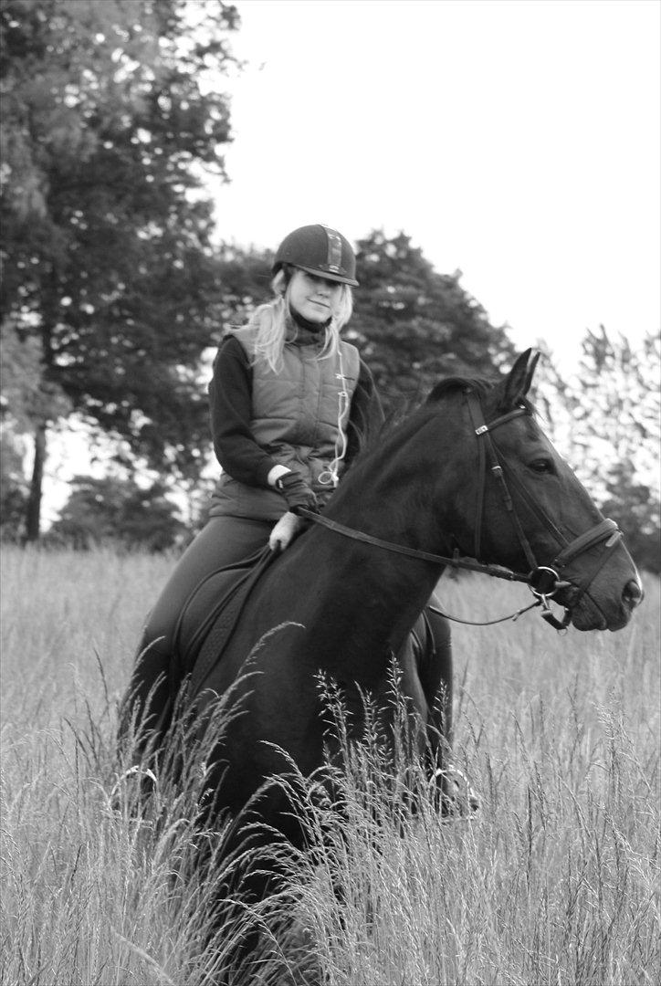 Oldenborg Emma (Dot) Hestbækgård - +*.You something special<3.*+ billede 19