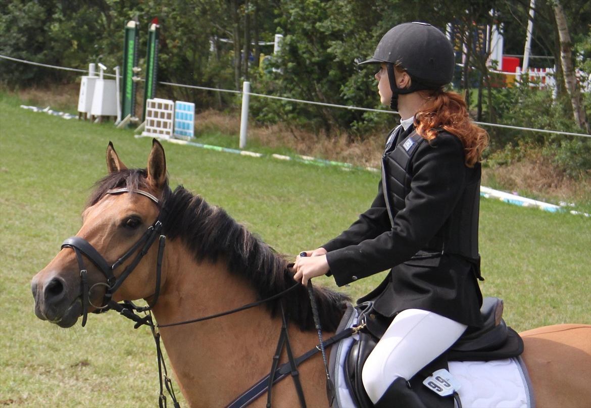 Anden særlig race Maja Lillevang Soulmate billede 8