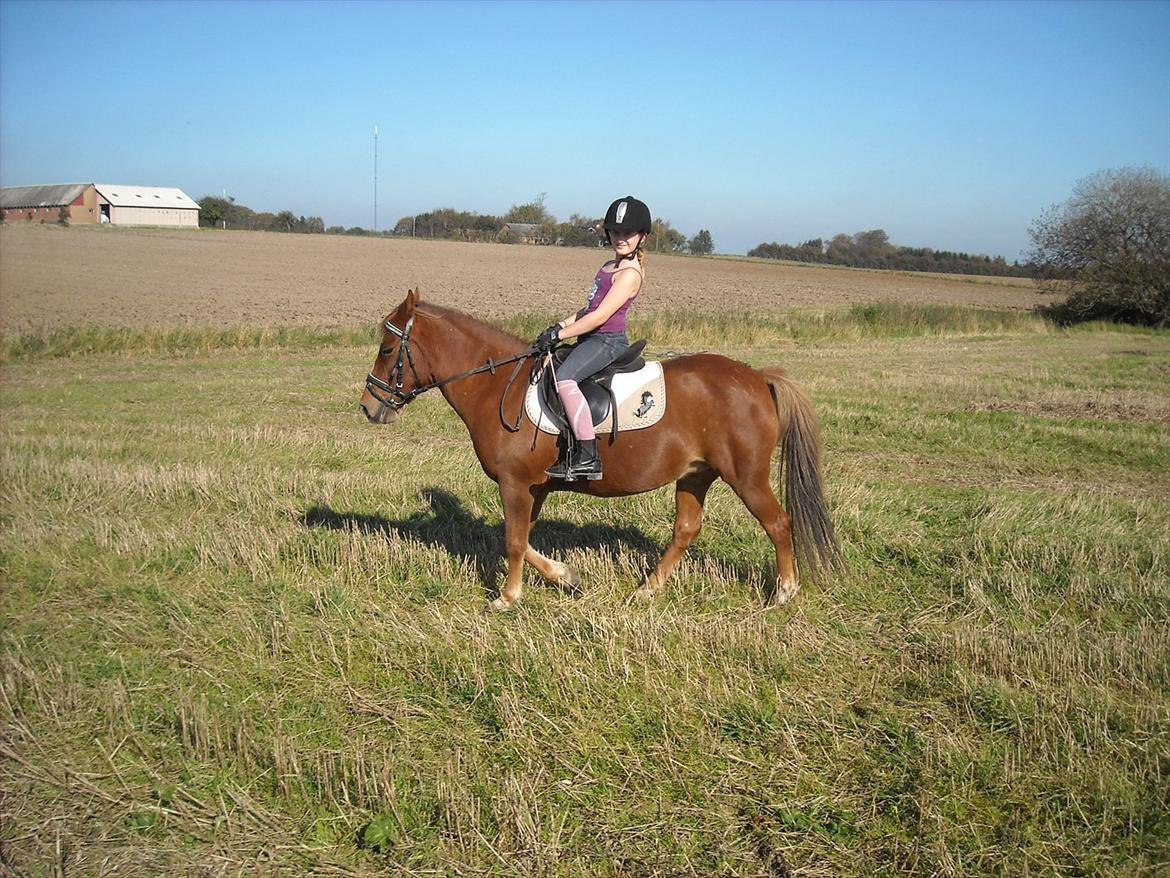 Anden særlig race Fanny - Hygge på marken :D billede 17