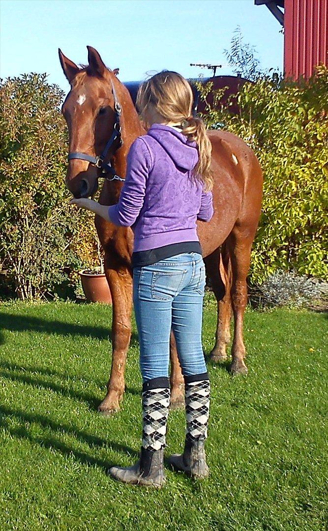 Frederiksborg Assing (Bøgelunds Pixel) Givet væk<3 billede 5