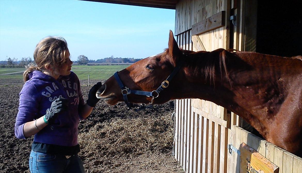 Frederiksborg Assing (Bøgelunds Pixel) Givet væk<3 billede 8