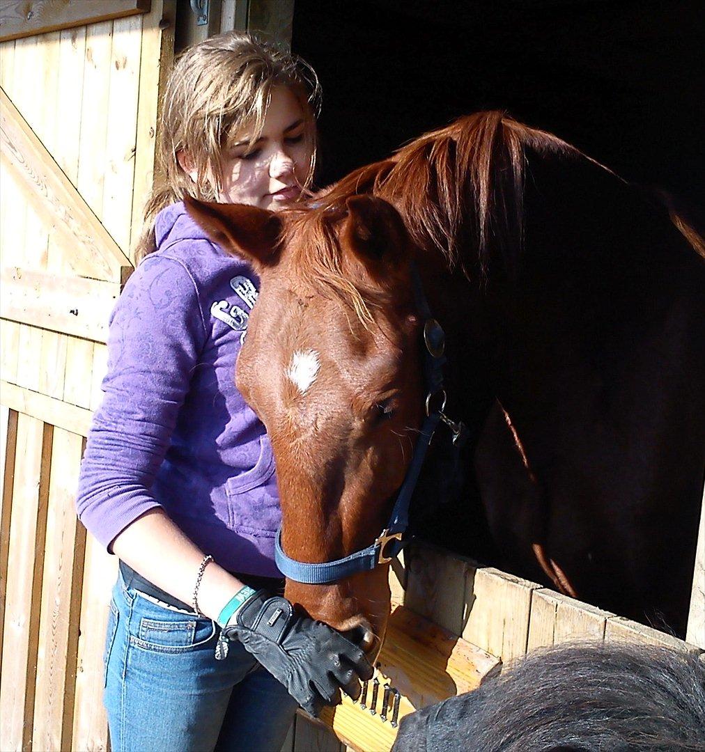 Frederiksborg Assing (Bøgelunds Pixel) Givet væk<3 billede 9