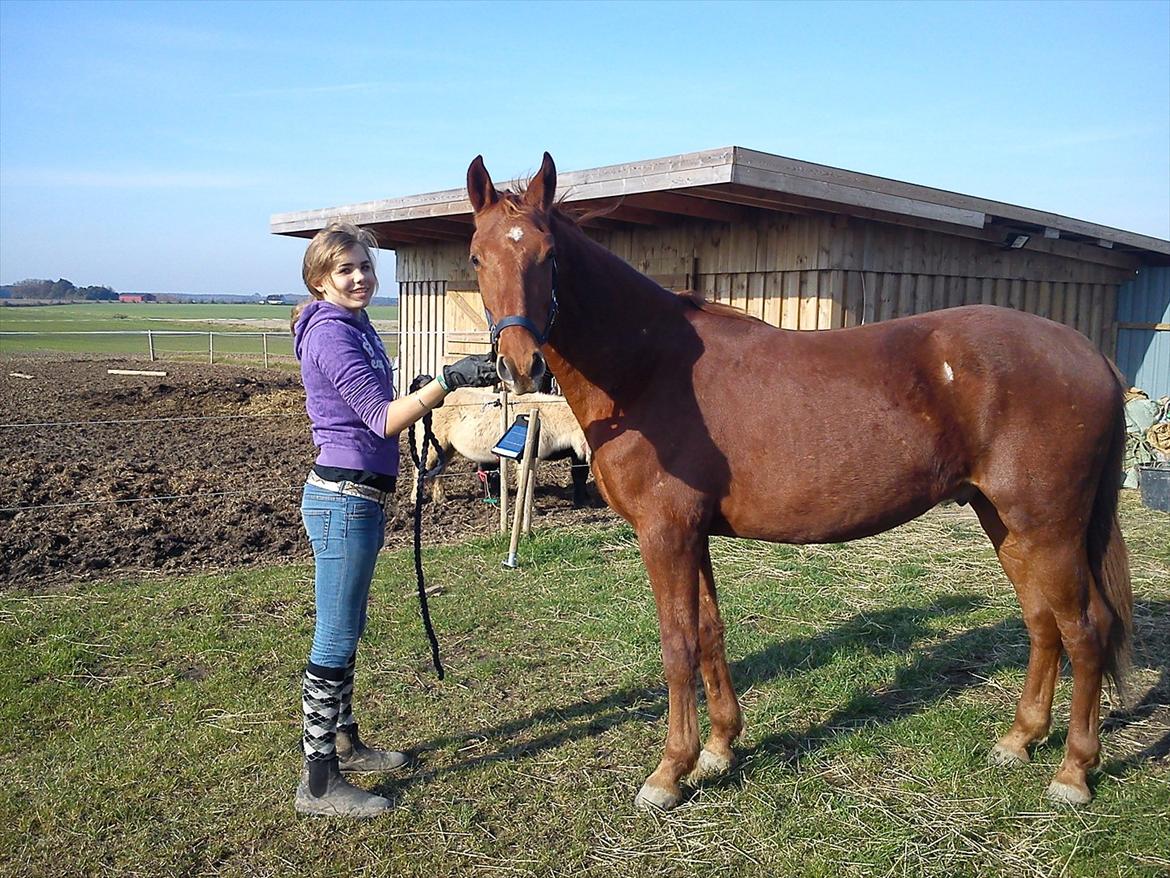 Frederiksborg Assing (Bøgelunds Pixel) Givet væk<3 billede 10