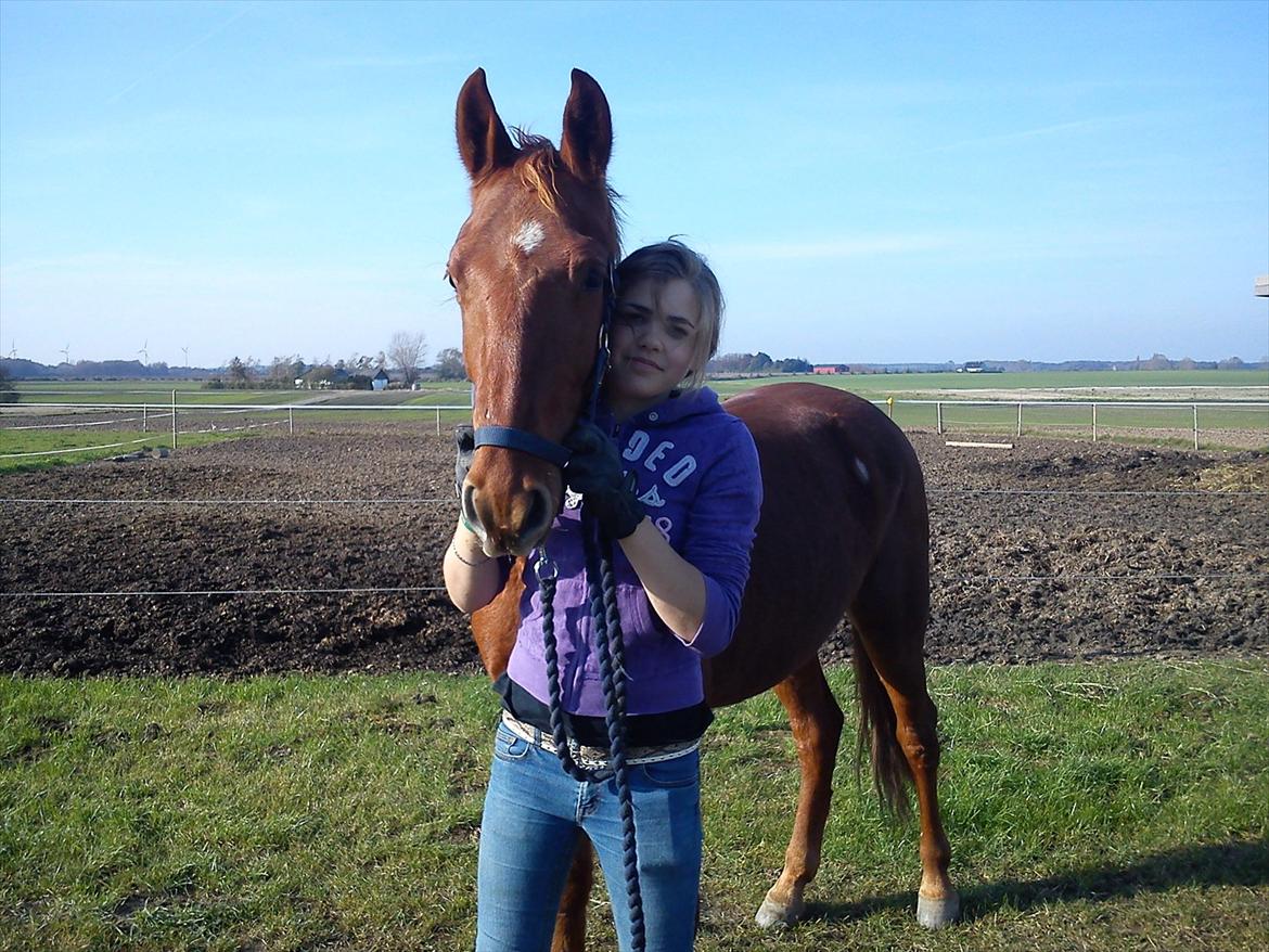 Frederiksborg Assing (Bøgelunds Pixel) Givet væk<3 billede 14