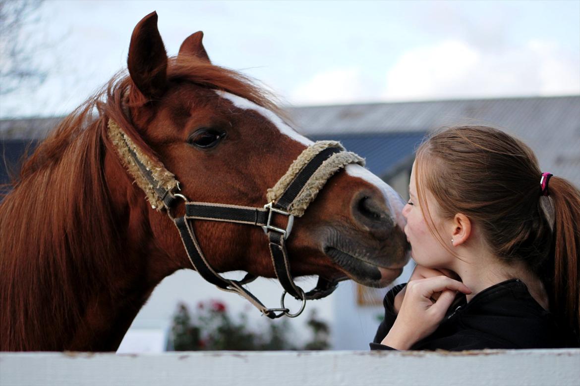 Anden særlig race Joy - Møs til min baby [Fotograf: Simone Them Larsen] <3 billede 19