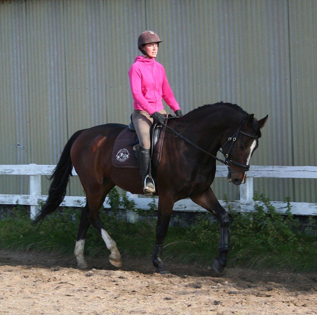 Oldenborg Macon billede 1