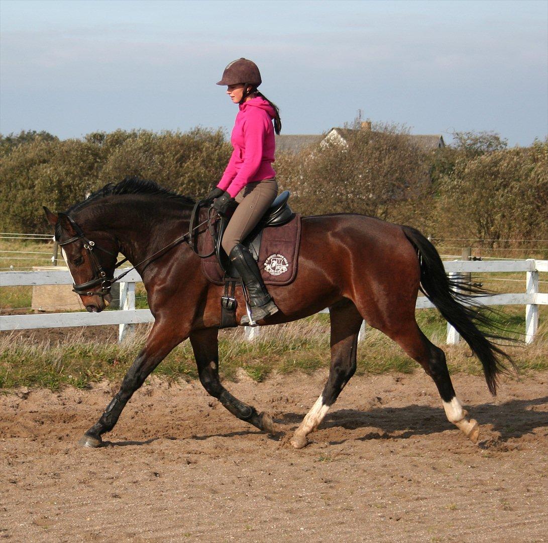 Oldenborg Macon billede 3