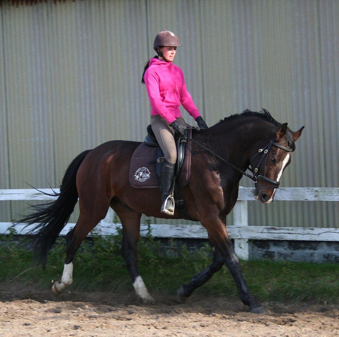 Oldenborg Macon billede 2