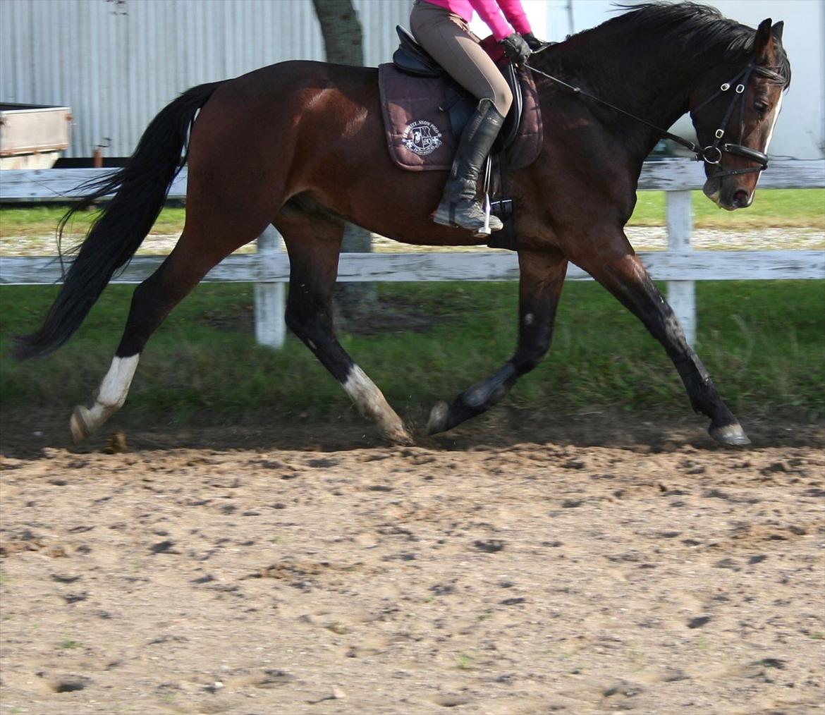 Oldenborg Macon billede 4