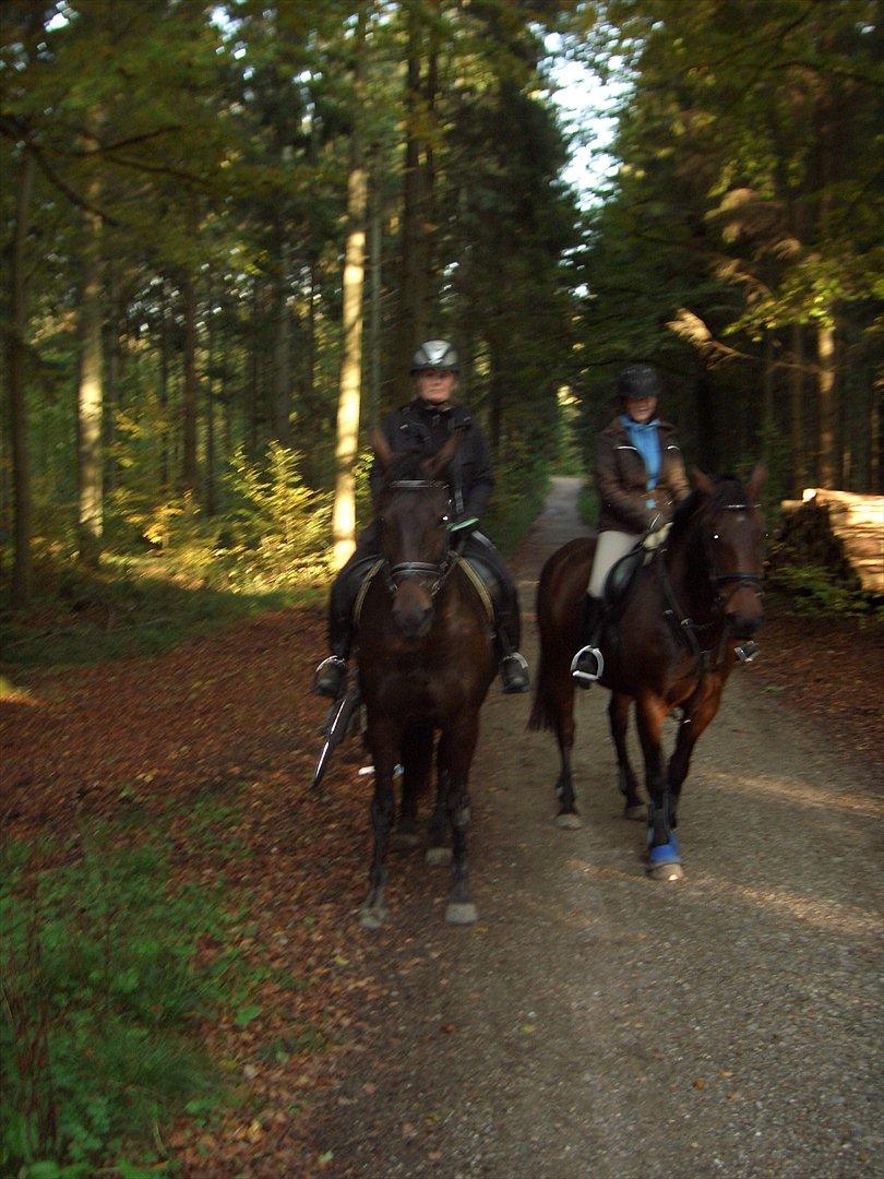 Oldenborg Lizette billede 3