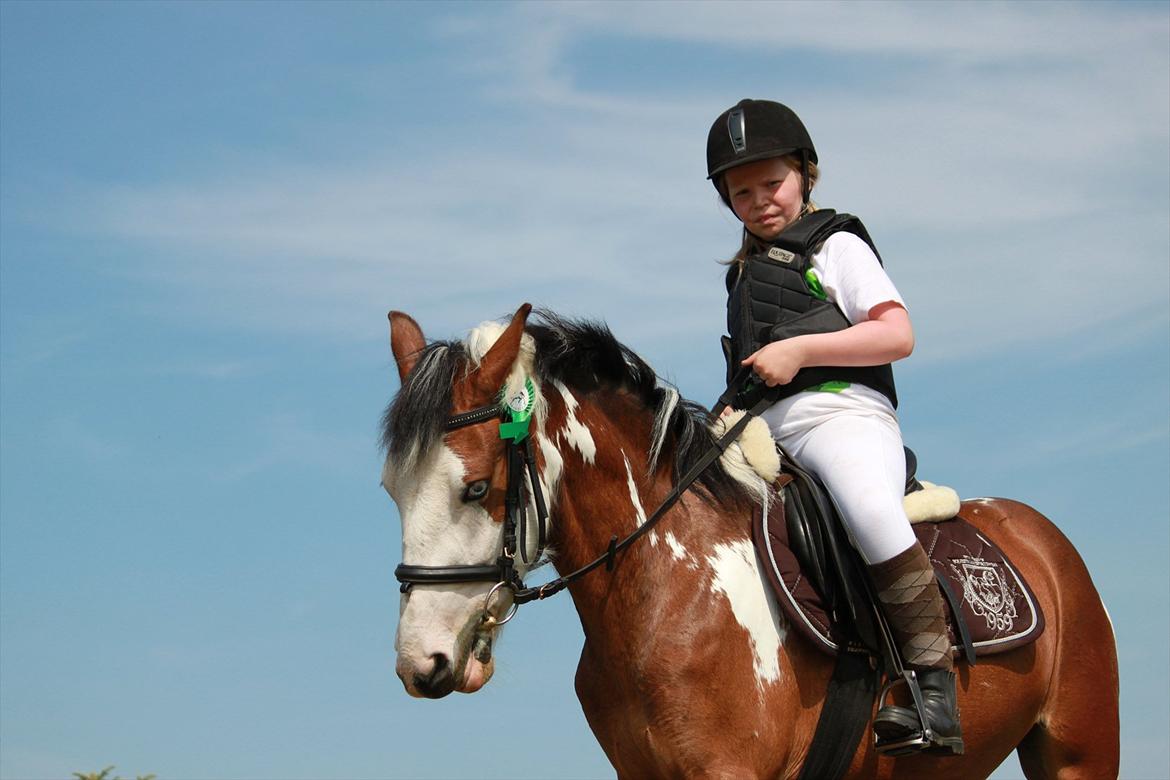 Anden særlig race Diamond (Blue Dream's)<3 - Velkommen til Diamonds profil billede 1