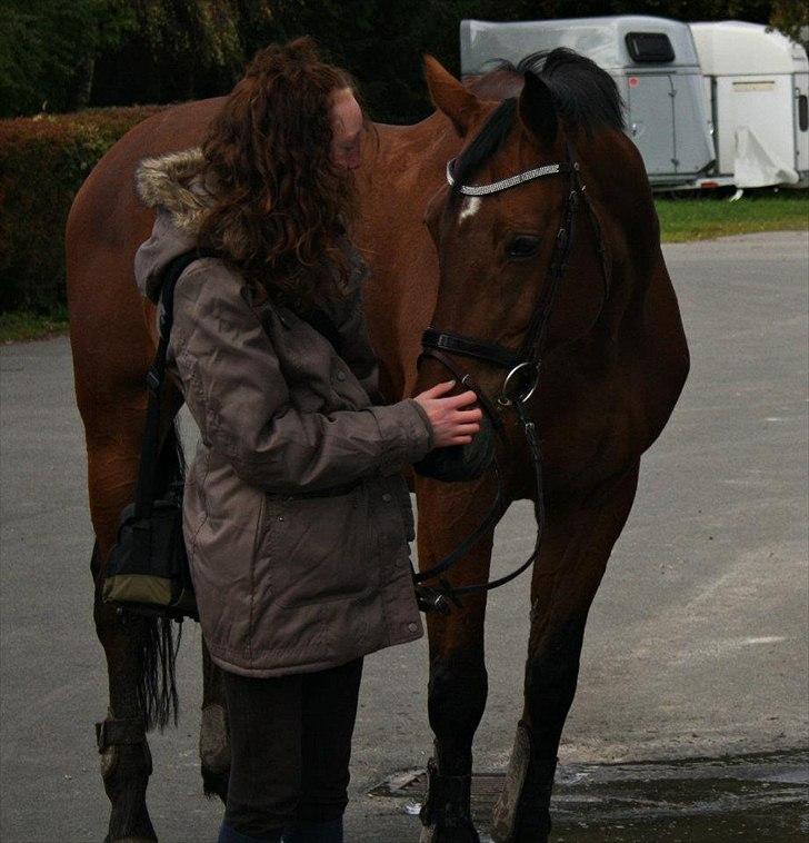 Oldenborg Sultan - Foto - Julie Mikkelsen billede 5